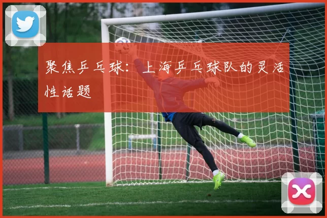 聚焦乒乓球：上海乒乓球队的灵活性话题